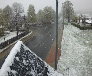 Śnieżyca w Małopolsce. Atak zimy w połowie maja!