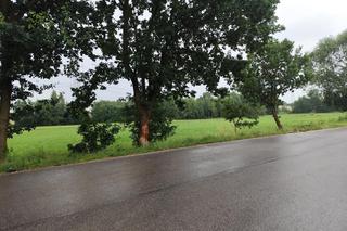 Wypadek w Bilczycach 