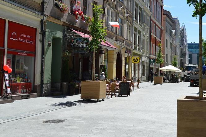 Poznań Ulica Wrocławska pięknieje z dnia na dzień! Ozdobią ją drzewa i
