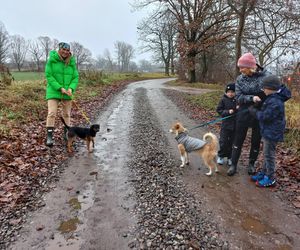 Zostań moją walentynką - proszą psy i koty ze schroniska dla bezdomnych zwierząt w Henrykowie koło Leszna [ZDJĘCIA]