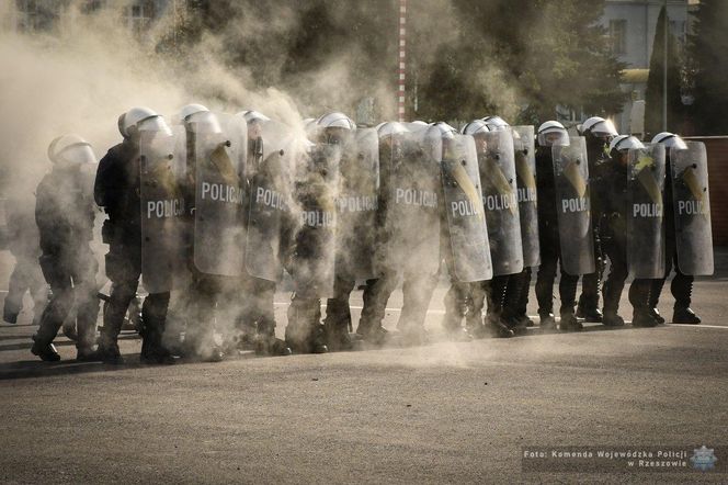 Policyjne konie zdały egzamin!