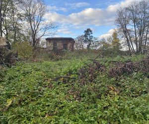 Zamek w Dąbrówce Starzeńskiej