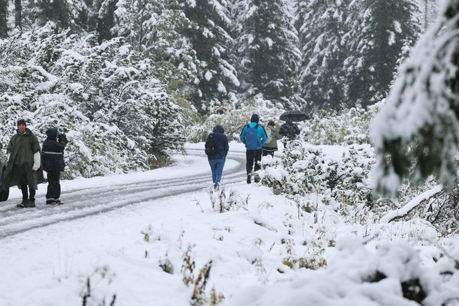 Śnieg w Tatrach. TOPR ogłosił pierwszy stopień zagrożenia lawinowego