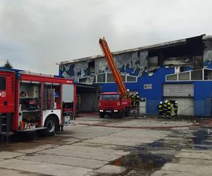 Potężny pożar niedaleko Lublina. Straty oszacowano na 12 mln zł