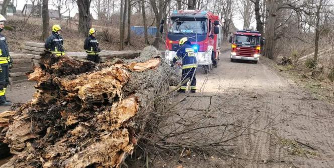 Wichury nad Polską. Połamane drzewa, zerwane dachy. Strażacy odnotowali ponad 600 interwencji