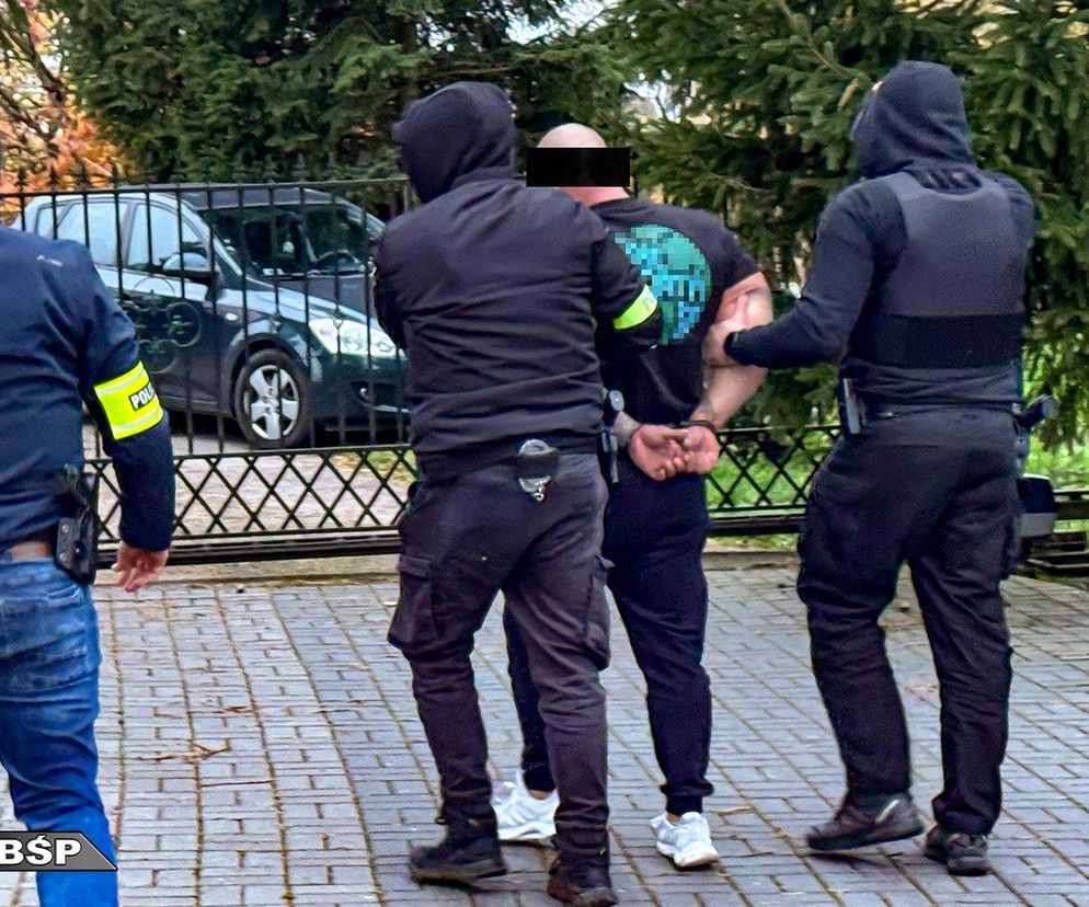 Pseudokibice za kratami. Wielka akcja policji, ponad 20 osób zatrzymanych