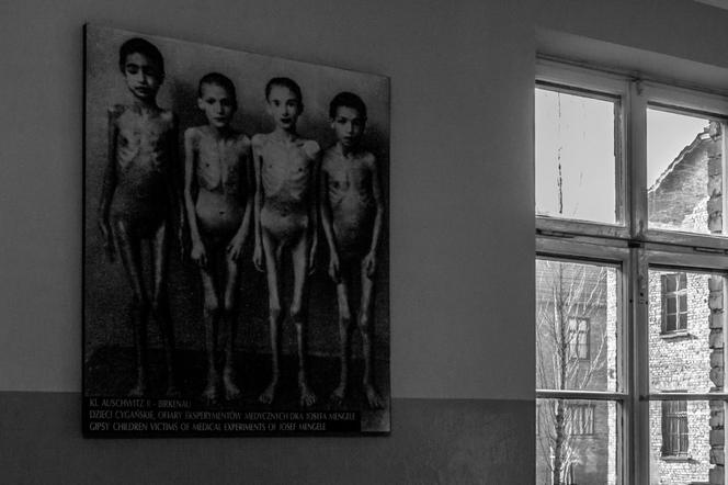 Miejsce Pamięci i Muzeum Auschwitz
