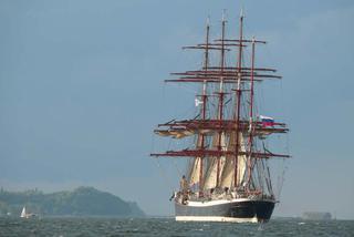 ParadaZagleGdyni2014_FotMZwierz_710209