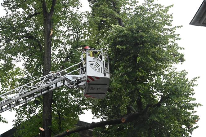 Zachodniopomorskie: Po burzach i ulewach ponad 160 interwencji strażaków