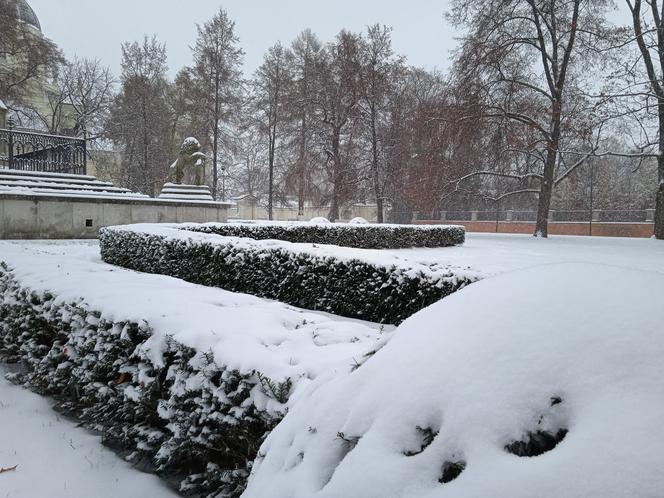 6. Są w niej przepiękne parki