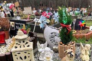 Jedyne takie miejsce na Śląsku. Tu z godnością pożegnasz swojego pupila