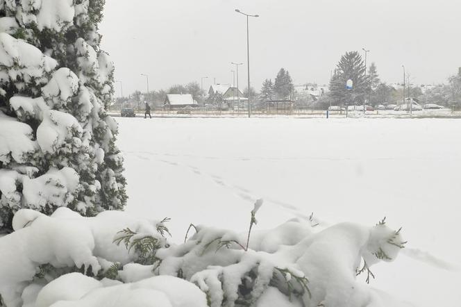 Nagły atak zimy. Białystok pod śniegiem. Kolejne ostrzeżenia IMGW [WIDEO]