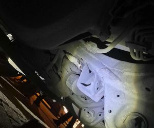 Mały pasażer na gapę. Krakowska straż miejska uratowała kotka, który utknął w silniku