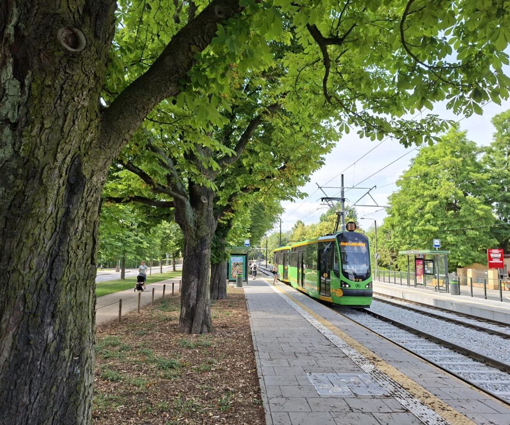 MPK Poznań