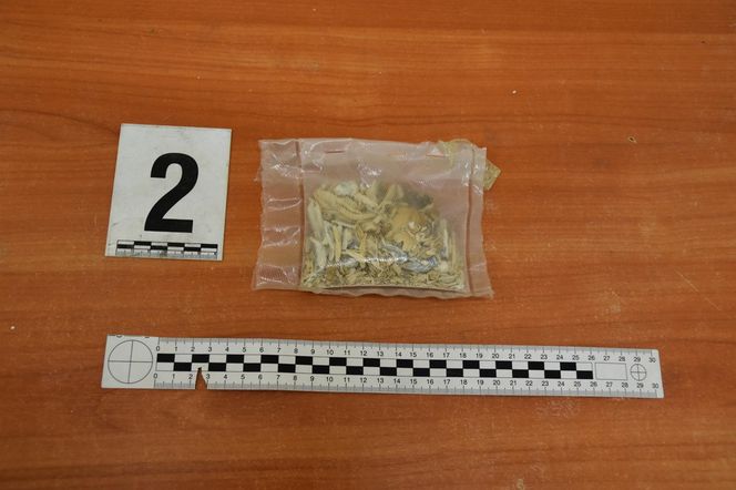 Pościg jak z filmu w Warszawie! W BMW środki odurzające i broń! Zobacz, co grozi zatrzymanej parze! 