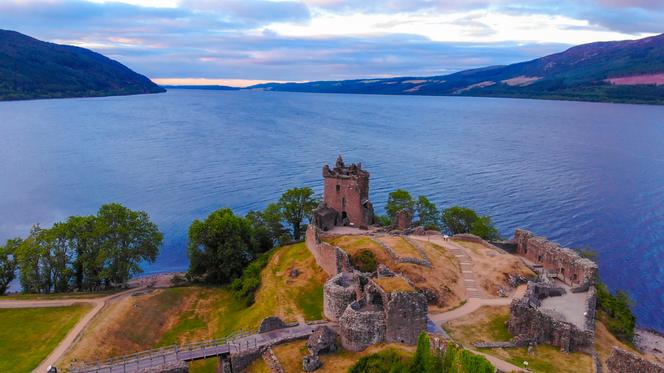 Potwór z Loch Ness jest żółwiem! Naukowcy ujawniają