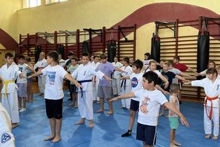 Skarżyski Klub Sportów Walki zaprasza na Akademię Karate. Będzie mnóstwo atrakcji
