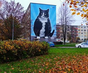 Mural z kotem Gackiem już odsłonięty