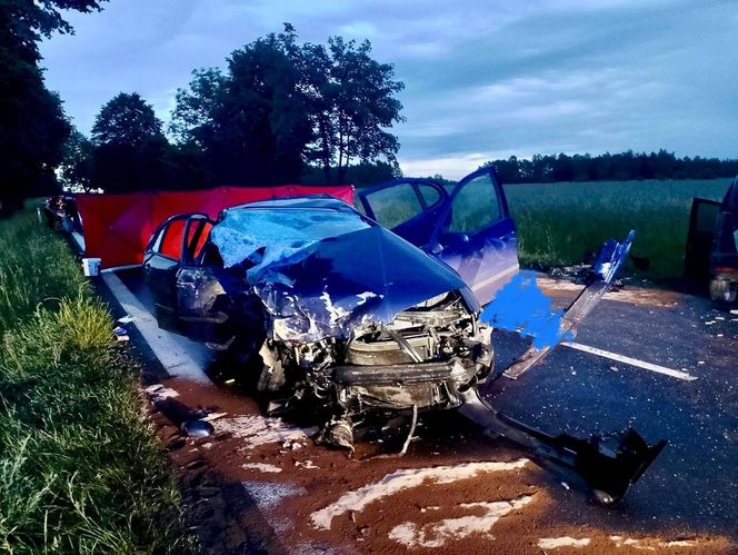 Tragiczny wypadek w Bukowcu Opoczyńskim. Nie żyje 20-letnia kobieta