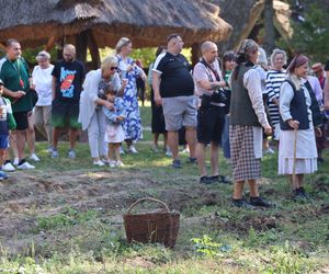 W skansenie w Lublinie pokazali, jak dawniej wyglądały wykopki kartoflane