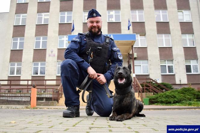 Rika to nowy pies w elbląskiej policji