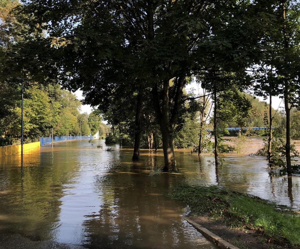 Powódź w gminie Szprotawa 