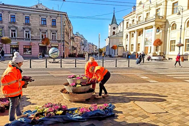 Lublin ma nowe kwiaty w donicach 