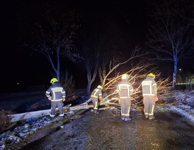 Wichura na Dolnym Śląsku. Powalone drzewa, uszkodzone samochody. Niemal 200 interwencji strażaków