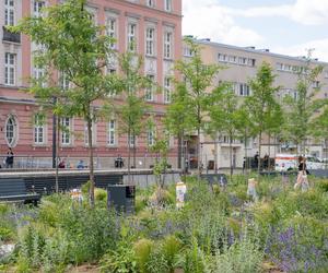 Tak wygląda plac Nowy Targ we Wrocławiu. Prace są już na ostatniej prostej