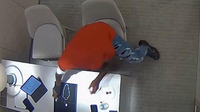  Ukradł diamentowe kolczyki i je połknął. Policja w końcu je odzyskała