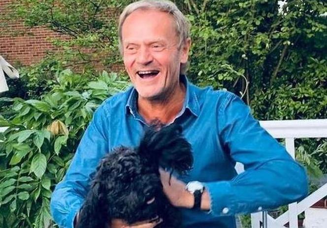 Tak mieszka Tusk. Dla wielu osób to szok, nie tak to sobie wyobrażali