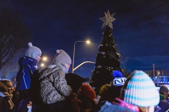 Dzielnicowe choinki w Gdańsku już świecą