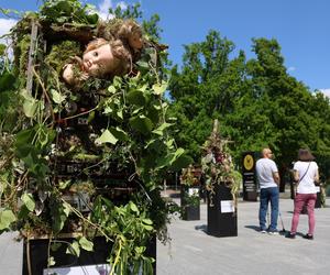 Weekend z florystyką w Lublinie. Zobacz imponujące roślinne instalacje w centrum miasta!