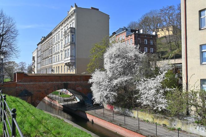 Biskupia Górka w Gdańsku