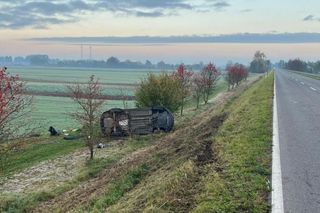 Sarny pojawiły się na drodze. Auto dachowało