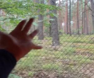 Leśny azyl Julii Wieniawy to czyste złoto! Pokazała luksus od środka