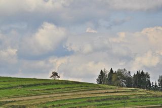 To jedna z najpiękniejszych wsi w województwie małopolskim. Kiedyś leżała w innym państwie