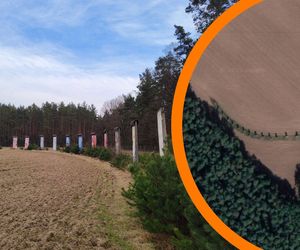 Największa kolekcja muru berlińskiego jest pod Wrocławiem. Na polu ustawiono kilkadziesiąt żelbetowych płyt z NRD