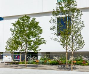 Plac Centralny Warszawa, sierpień 2025