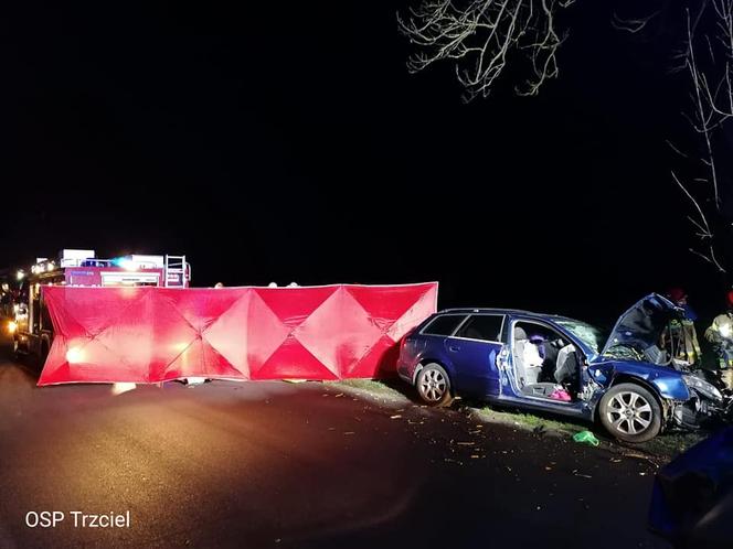 Tragiczny wypadek między Trzcielem, a Zbąszyniem