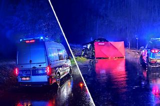 Citroen rozbił się na drzewie! Kierowca i pasażer nie żyją