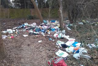 Warszawa zasypana śmieciami. Dzikie wysypiska w każdej dzielnicy