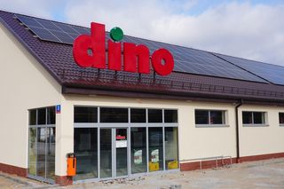 Ceny pączków Dino 2026. Ile kosztują pączki w Dino na Tłusty Czwartek?