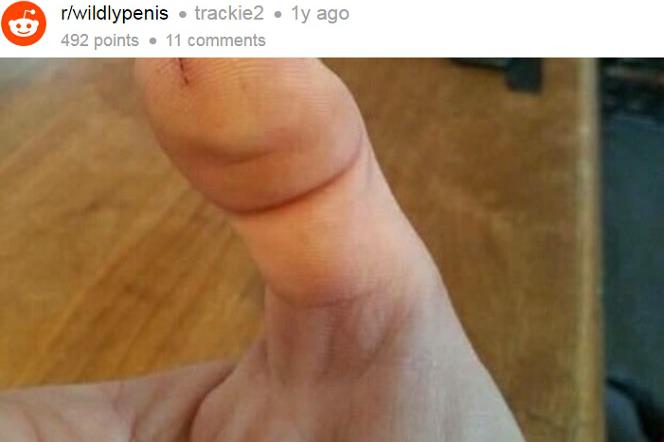 To NIE SĄ penisy! Zdjęcia przedmiotów, które bardzo chcą być członkami [FOTO]