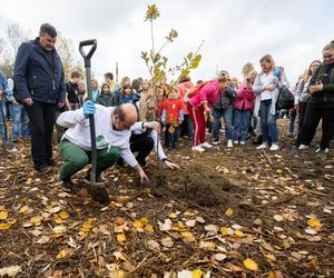 Nad Wisłokiem posadzono 200 drzew. Akcja  „Czyste, zielone miasta” w Rzeszowie