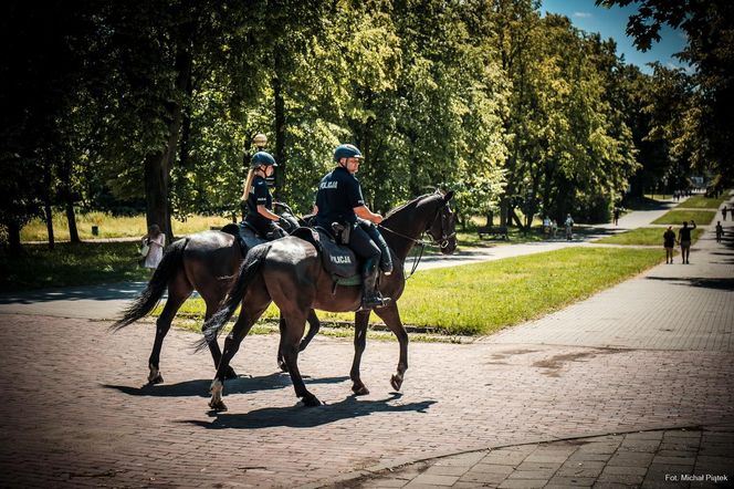 Policyjne wierzchowce od lat wspierają śląską policję