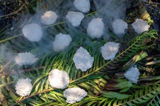 100 najgorszych potraw na świecie. Są dwie z Polski [ZDJĘCIA].