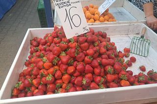 Ceny truskawek na Starym Kleparzu w Krakowie