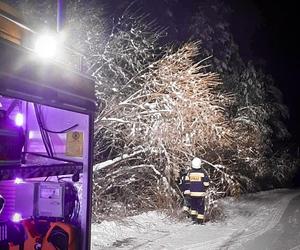 Prawie 200 interwencji strażaków w związku z opadami śniegu.