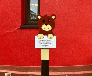 Krynica Morska to popularne miejsce na urlop. Jakie sątu ceny?